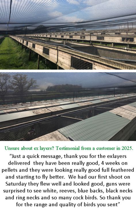 Heart of England Farms - Breeders of quality game stock